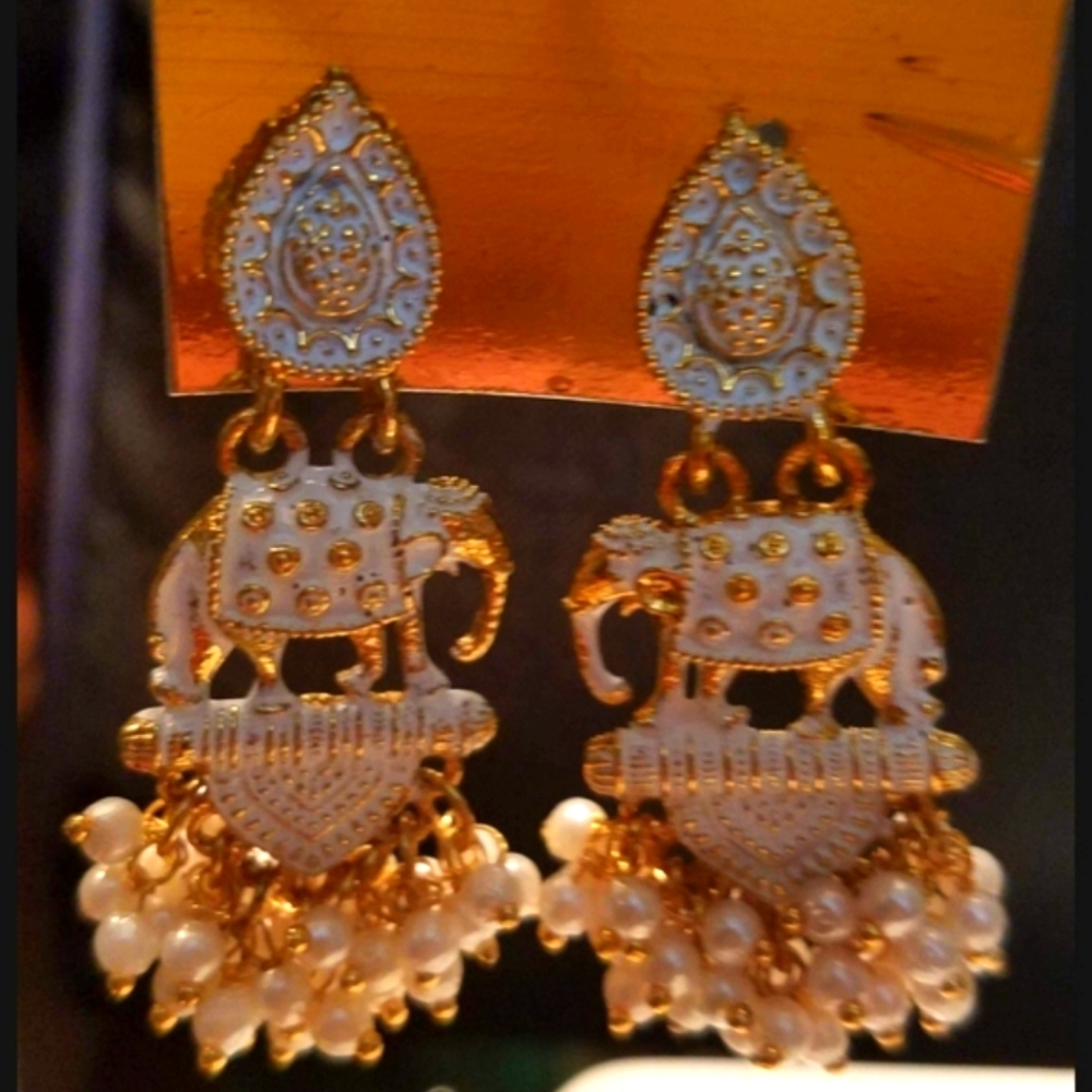 Earrings